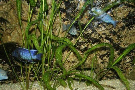 Ankara Hayvanat Bahçesi